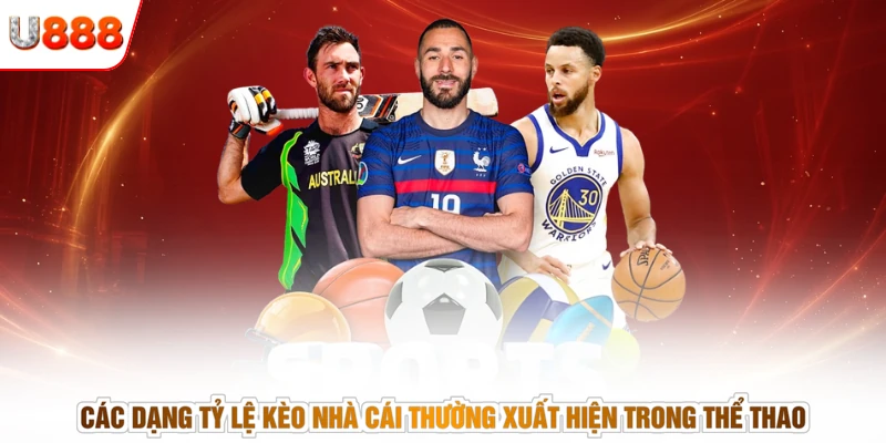 Các dạng tỷ lệ kèo nhà cái thường xuất hiện trong thể thao