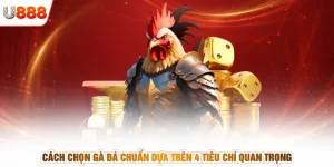 Cách Chọn Gà Đá Chuẩn Dựa Trên 4 Tiêu Chí Quan Trọng