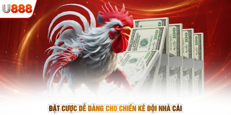 Đặt cược dễ dàng cho chiến kê đội nhà cái